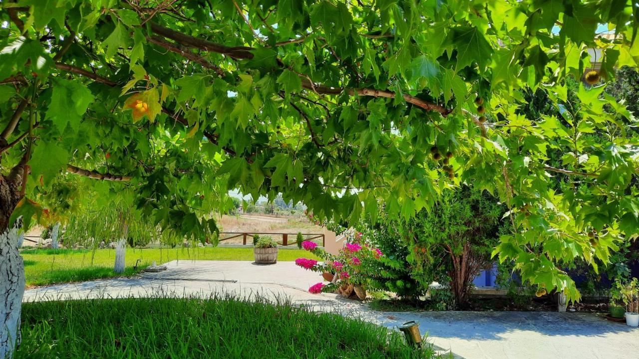 Alekos Beach Houses-Angelo Lixouri Exterior photo